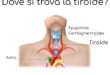 Passi avanti nel trattamento del tumore della tiroide