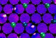 Atomi metallici intrappolati nella “rete” del grafene: così nascono i materiali del futuro